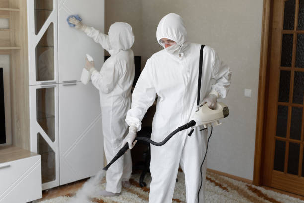 Best Mold Remediation  in Silver Ridge, NJ