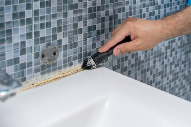 Best Mold Damage Repair  in Silver Ridge, NJ
